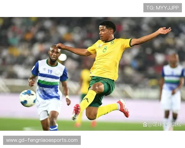 最新南非足球球星实力排名榜揭晓 谁是最具影响力的顶级球员